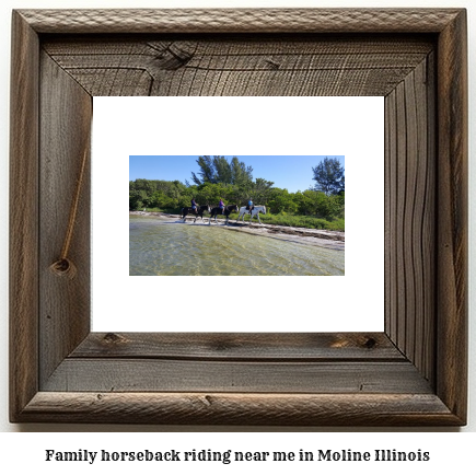 family horseback riding near me in Moline, Illinois